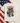 Independence Day Racoon DTF Transfers