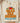 Grad Era Senior Class of 2026 Graduation Retro Floral Flowers Orange and Blue Typography DTF Transfer – Ready To Press Full Color Heat Transfer – Cold Peel – Same Day Shipping