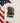 Red, White and Feral 4th of July, Raccoon DTF Transfers